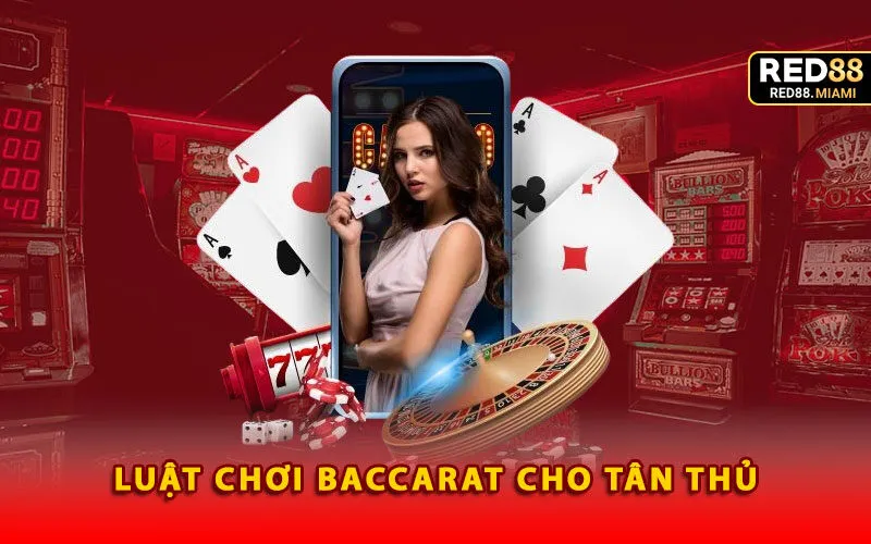 luat-choi-baccarat-cho-tan-thu